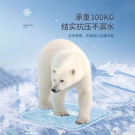 【凉而不冰 舒爽一夏】暑气烦恼，一垫在手，尽享凉爽。伴你学习办公，午休解暑。可清洗，易携带，多场景使用。坐在上面，时刻感受物理降温，电脑迅速散热。可爱夏日造型，果冻凝胶材质降温神器！ 商品图4