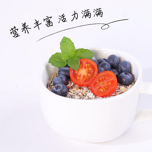 奇亚籽混合谷物胚芽燕麦片630g 商品图3