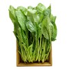 那云那南有机菠菜250g 商品缩略图2