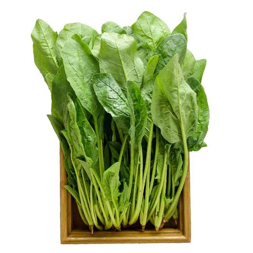 那云那南有机菠菜250g 商品图2