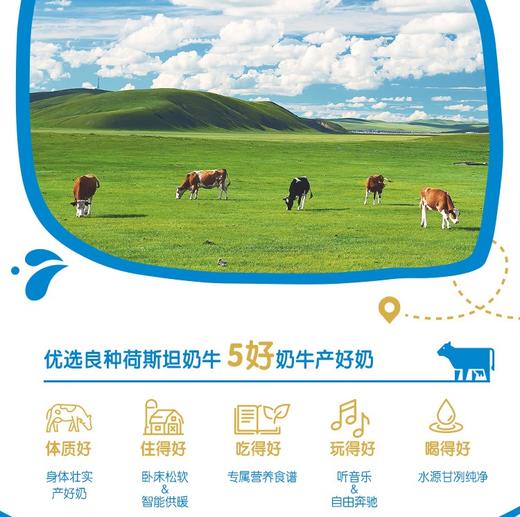 【冬日盛惠】伊利纯牛奶粉320g/袋 全脂乳粉 100%生牛乳（两种包装随机发货） 商品图2