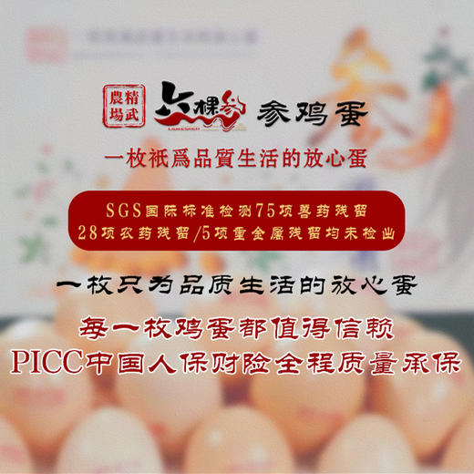 【自营】六棵参参鸡蛋30枚/箱 商品图1