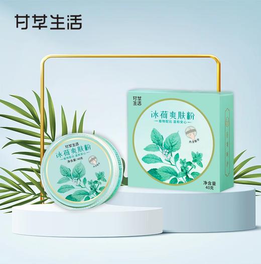 冰荷爽肤粉40g/盒（名医） 商品图0