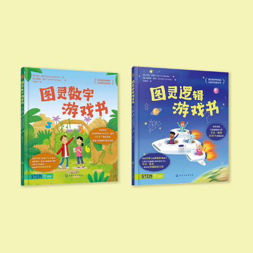《图灵数字游戏书》+《图灵逻辑游戏书》 商品图1