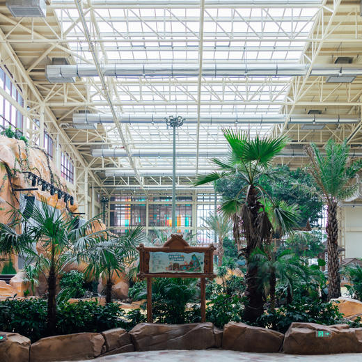 双12大促！1晚/2晚【嘉兴开元森泊度假酒店】含水乐园/汤泉任选门票！还有森泊手工坊、旅拍等，每晚音乐喷泉表演，江浙沪遛娃不远行~ 商品图10