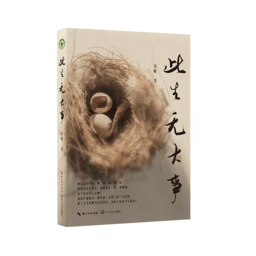 《此生无大事》 商品图1