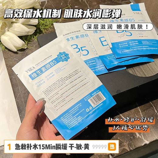 「买1送1！到手两盒」VSEA维生素原B5面膜水杨酸积雪草净颜面膜补水保湿晚安冻膜面膜冷敷贴 商品图3
