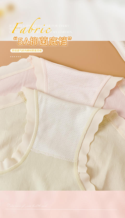 女士彩纱撞色竖纹提花无缝裸氨超薄内裤3264/3263/6302/3176 商品图14