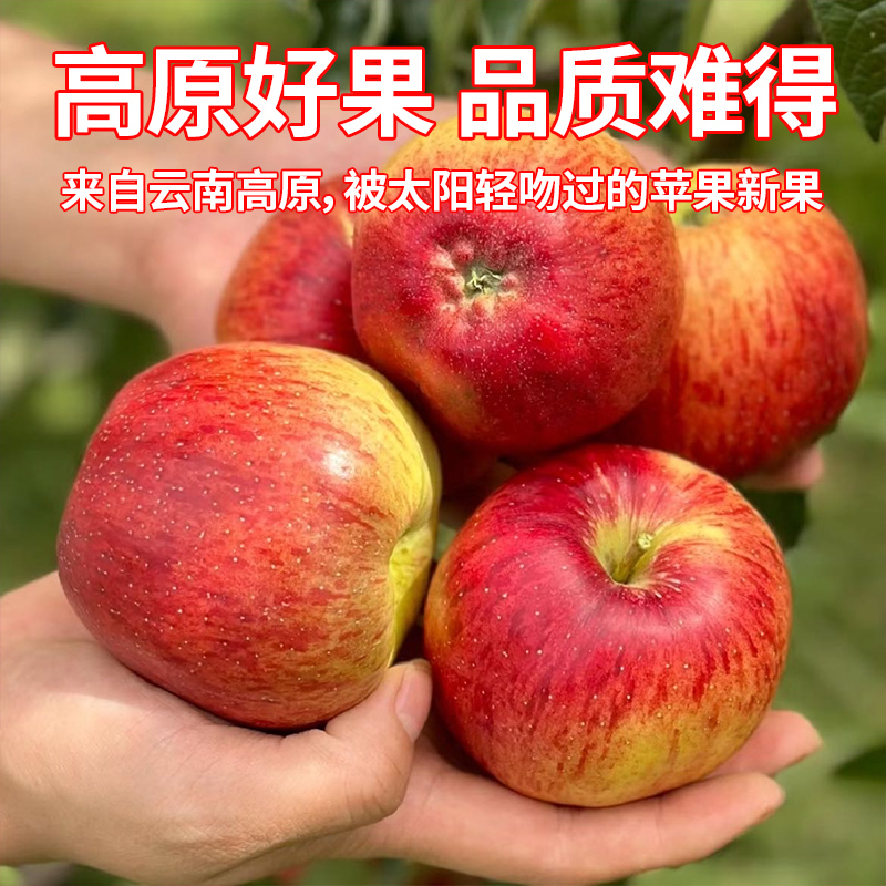 云南昭通 野生丑苹果 冰糖心苹果 现摘现发 整箱发货