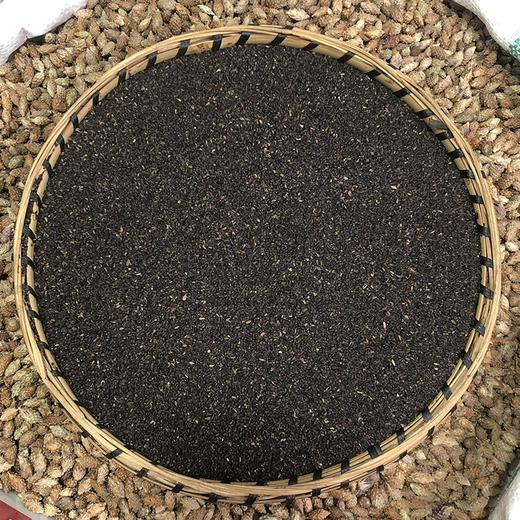 车前草  车前子 商品图2