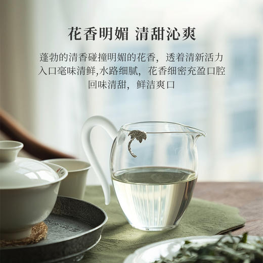 「北路白茶」春陌 福鼎白茶白牡丹明前茶叶2024年正宗高山散茶新茶250g 商品图2