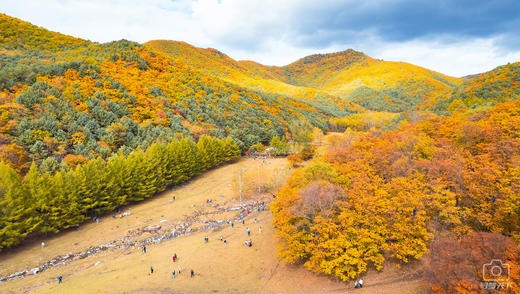 伊春小兴安岭秋韵：茅兰沟、五营国家森林公园、金祖峰、大箐山、乌带公路六天 商品图2