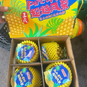海南金钻凤梨（礼盒装）
