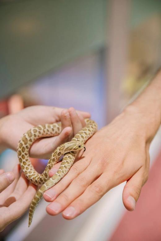 【万象城·MelandSport】110元单人/158元周中双人票/245三人票；夜场79元起~一票不限时畅玩，平日周末节假日通用！云端探险、抱石攀岩、魔方密室、赛博宇宙、萌宠动物、电玩世界 商品图4