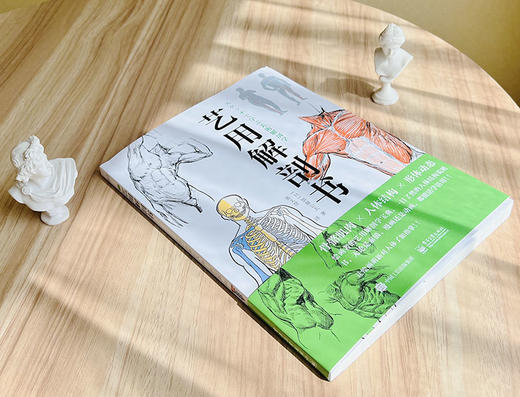 艺用解剖书 艺用解剖基础入门课 运动器官人体体表结构 简易骨骼图手部解剖素描图 艺用解剖学速写技法教程书籍 张文慧 商品图4