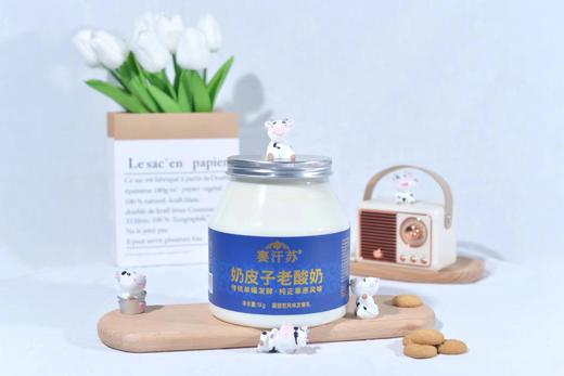基地直发 |内蒙古传统老酸奶 1kg*2桶/件 商品图0