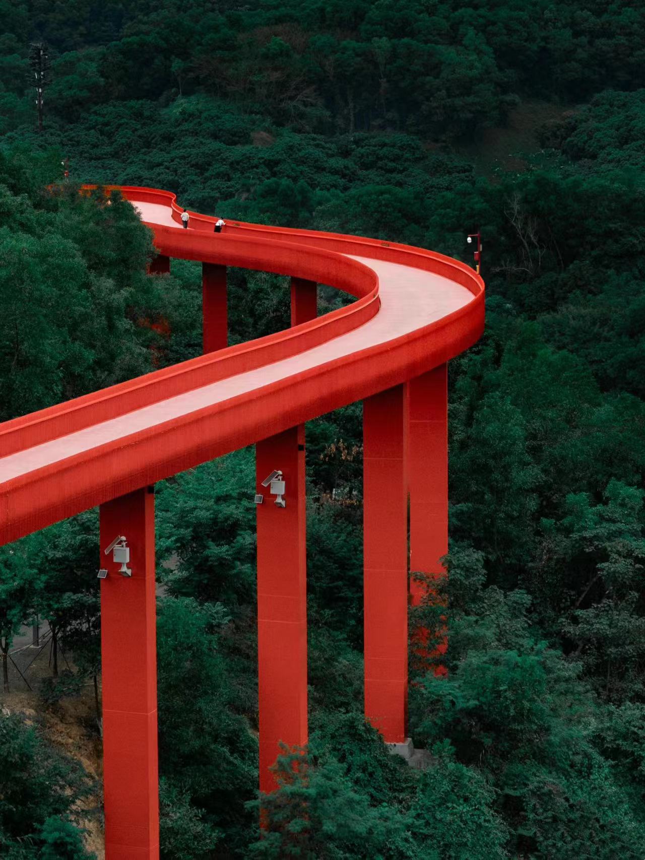 【泊寓户外】8月24日虹桥公园+大顶岭绿道徒步