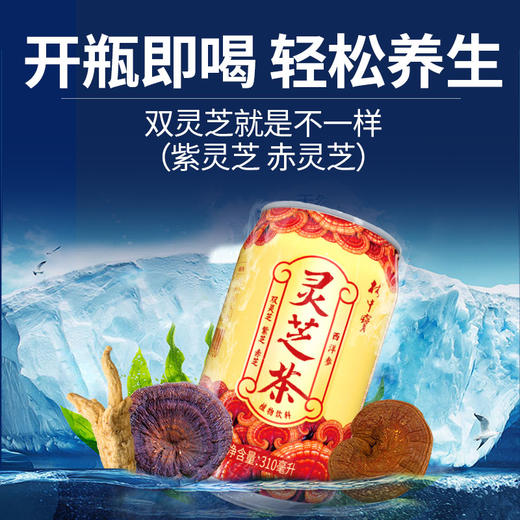 林中宝灵芝茶植物饮料310ml*12罐整箱 商品图7
