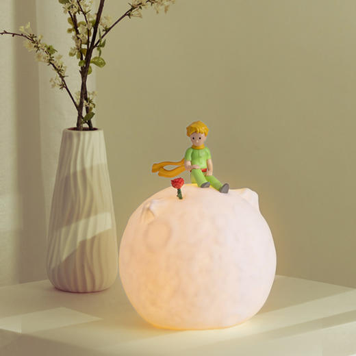 VIPO x 小王子星球灯-永恒的玫瑰 / 爱与驯养【本商品不支持用券】 商品图7