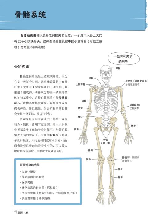 《图解化学》《图解人体》 商品图12