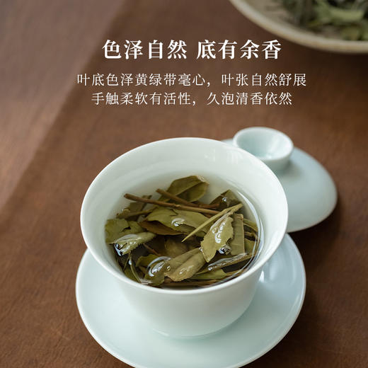 「北路茶叶」春味 福鼎白茶2022雨前春寿眉散茶正宗高山茶叶240g 商品图3