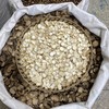 人参   中大支  人参片切片 长白山正宗人参 白晒参 生晒参 商品缩略图5