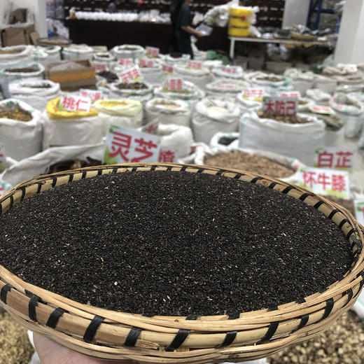 车前草  车前子 商品图1