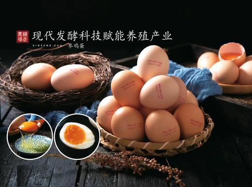 【自营】六棵参参鸡蛋30枚/箱 商品图2