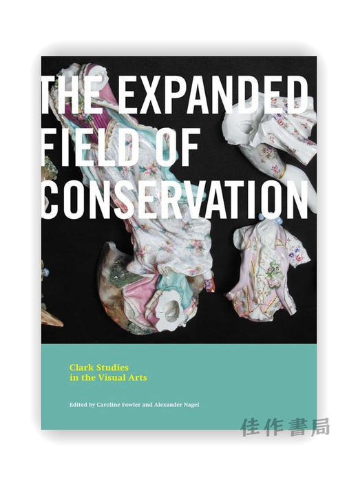 The Expanded Field of Conservation / 扩大保护领域（克拉克在视觉艺术的上研究） 商品图0