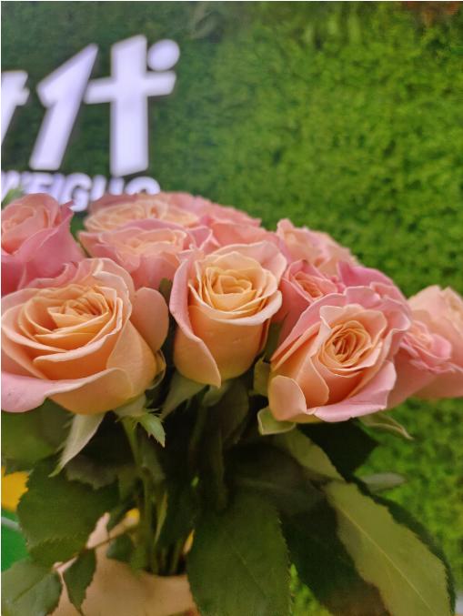 朱小姐玫瑰10支 商品图2