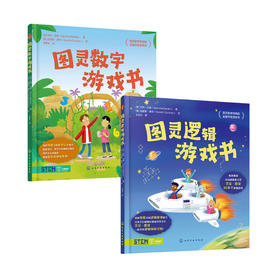 《图灵数字游戏书》+《图灵逻辑游戏书》