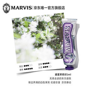MARVIS 玛尔仕 茉莉薄荷牙膏85ml（紫色）清新口气 意大利进口 玛尔斯 6455161