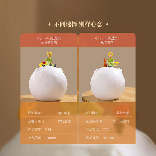 VIPO x 小王子星球灯-永恒的玫瑰 / 爱与驯养【本商品不支持用券】 商品图4