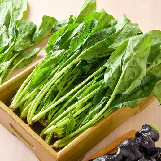那云那南有机菠菜250g 商品图0