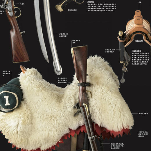 《DK士兵大百科》 商品图6