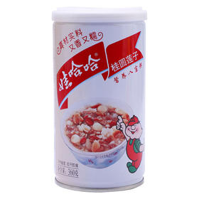 娃哈哈桂圆莲子八宝粥360g(6902083880781)