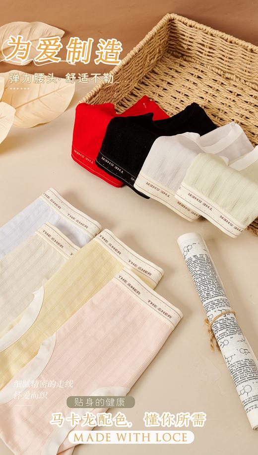 女士彩纱撞色竖纹提花无缝裸氨超薄内裤3264/3263/6302/3176 商品图9