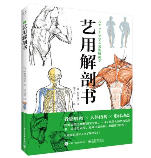 艺用解剖书 艺用解剖基础入门课 运动器官人体体表结构 简易骨骼图手部解剖素描图 艺用解剖学速写技法教程书籍 张文慧 商品图0