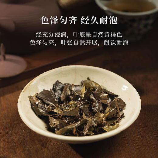 非煮不可+煮茶炉套装 2016福鼎白茶寿眉饼茶茶叶礼盒装送人高端大气 商品图1