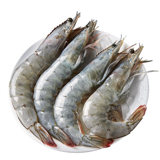 秘鲁盐冻大虾 | 源自南美厄瓜多尔南面 新鲜捕捞 活虾速冻 肉质饱满紧实 虾肉鲜嫩 鲜虾盐冻 只只分离 拒绝反复冷冻 商品图5