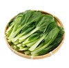 小青菜（约500g) 商品缩略图0