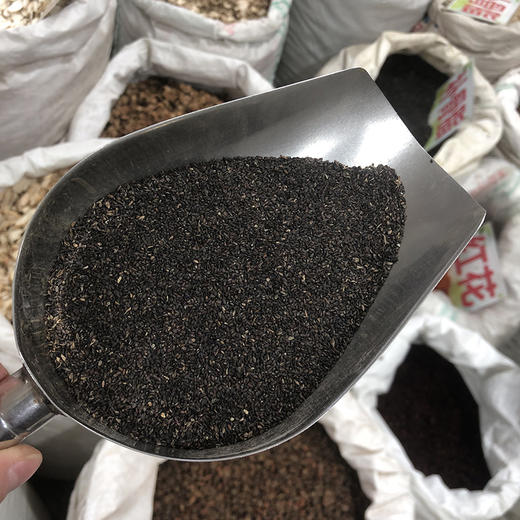 车前草  车前子 商品图3