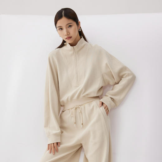 谜底套头立领卫衣长袖女2024秋新品慵懒风休闲短款上衣243MV1161 商品图1