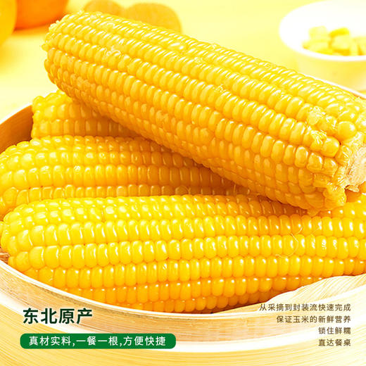 初方有机鲜食玉米 黑龙江巴彦黄糯玉米速食220g*10支礼盒装 商品图1