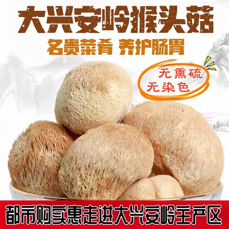 【自营】养胃山珍 大兴安岭猴头菇 原产地优质农产品