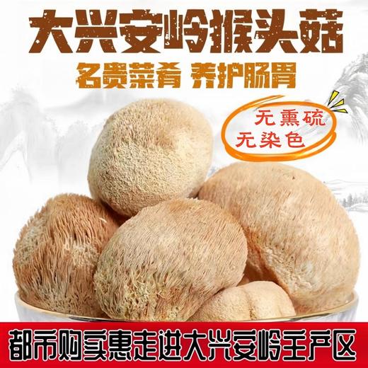 【自营】养胃山珍 大兴安岭猴头菇 原产地优质农产品 商品图0