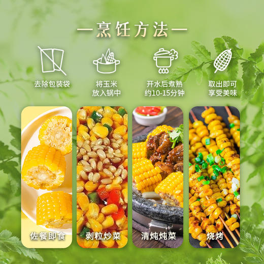 初方有机鲜食玉米 黑龙江巴彦黄糯玉米速食220g*10支礼盒装 商品图4