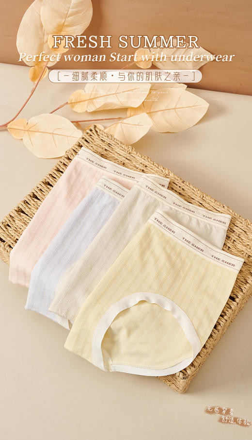 女士彩纱撞色竖纹提花无缝裸氨超薄内裤3264/3263/6302/3176 商品图10