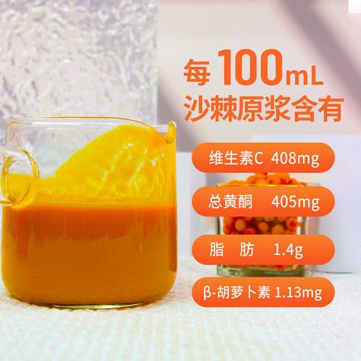 【待见沙棘原浆】含果油新鲜纯果汁鲜果生榨180ml/玻璃瓶 180mL 14瓶 商品图3