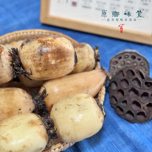 【现发粉藕】生态脆藕/莲藕（基地直发-顺丰包邮）｜3斤装，来自湖北武汉，生产者：杨景勇【合作生产，公平贸易】 商品图6
